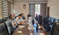 برگزاری کمیته پیشگیری از خودکشی در سالن جلسات شبکه بهداشت و درمان شهرستان بهار 